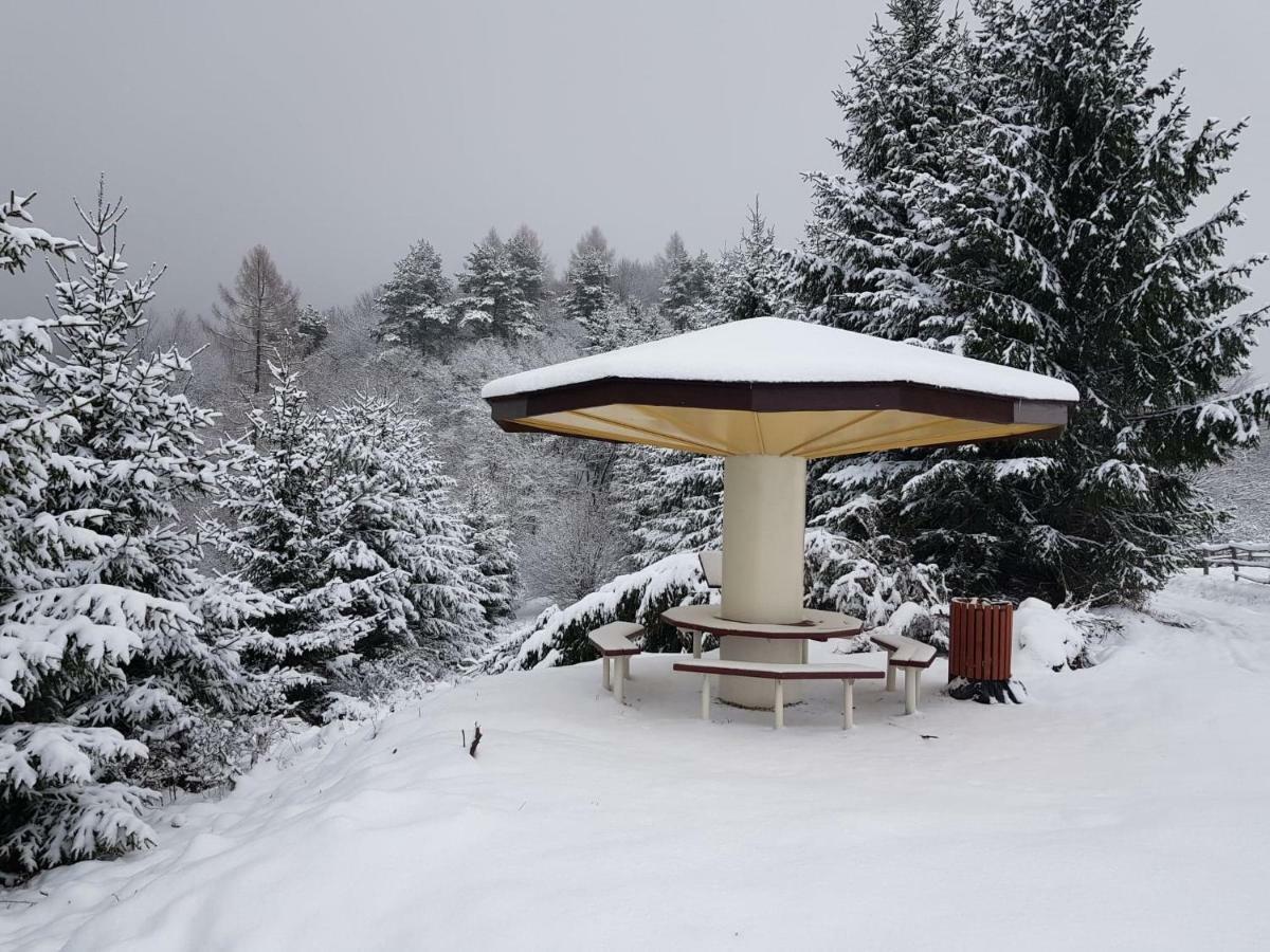 Domki I Pokoje U Ilony Kroscienko nad Dunajcem Exterior photo